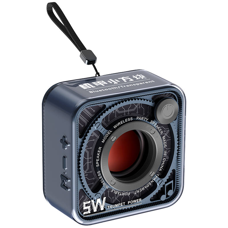 SEGUO Wireless Speakers