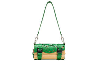 Feng Chen Wang Crossbody Bags