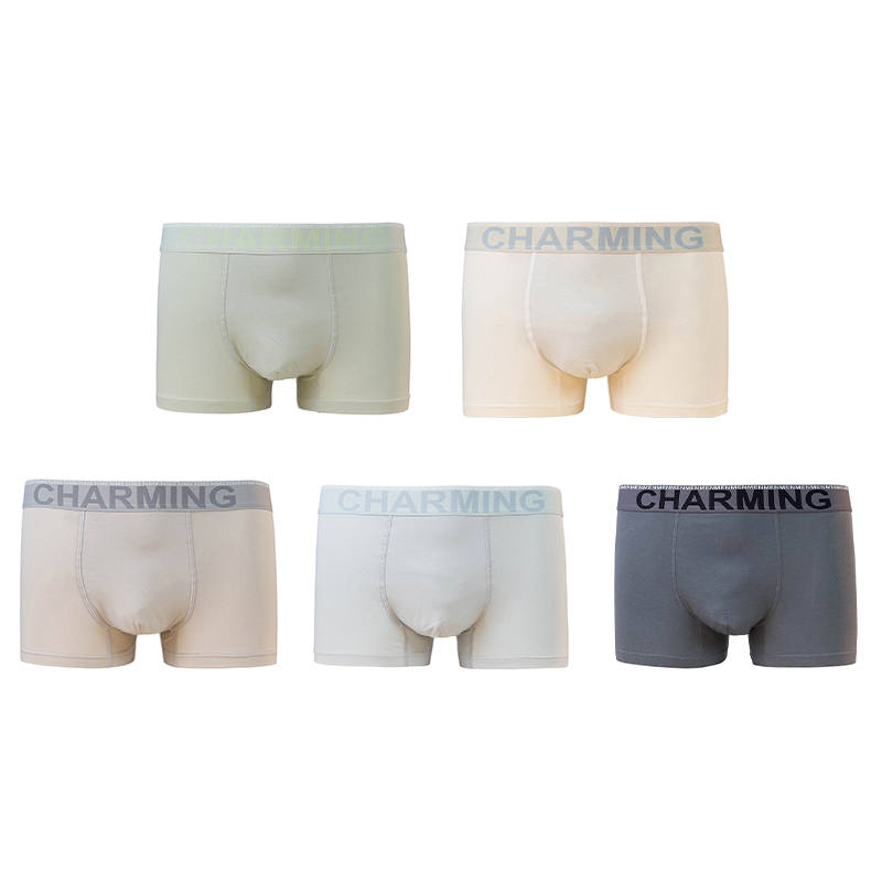 FENTENG FENTENG Underpants Men's 5 Pack