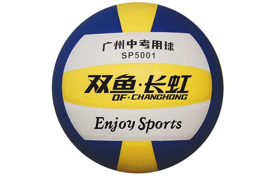 DOUBLE FISH DOUBLEFISH Pu Size 5 Volleyball Unisex Blue Yellow