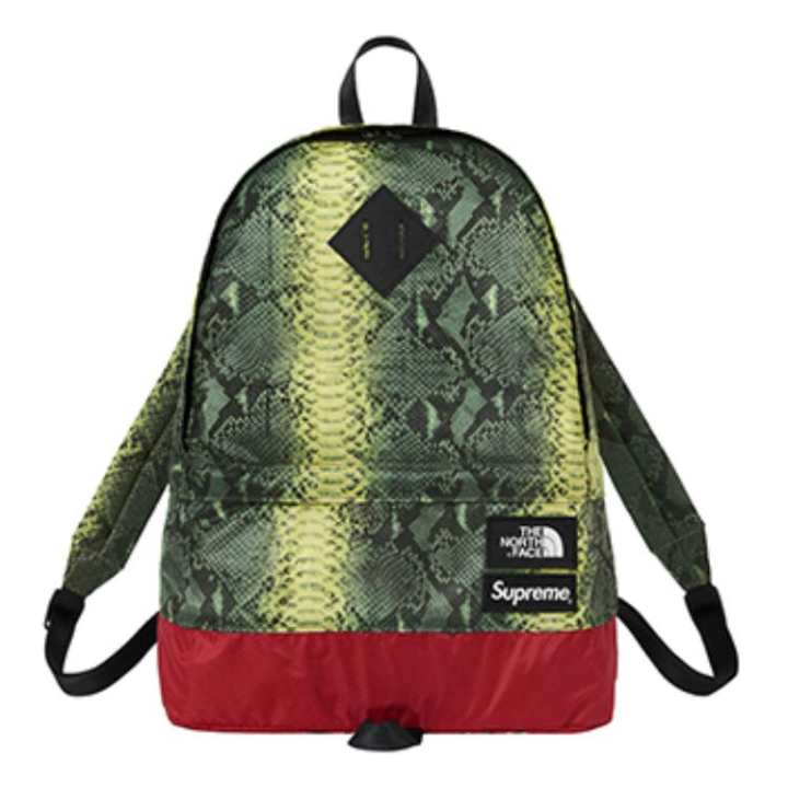 Supreme Supreme The North Face X The North Face Collaboration Supreme SS18 Fabric Travel Bag Backpack Regular Unisex Green