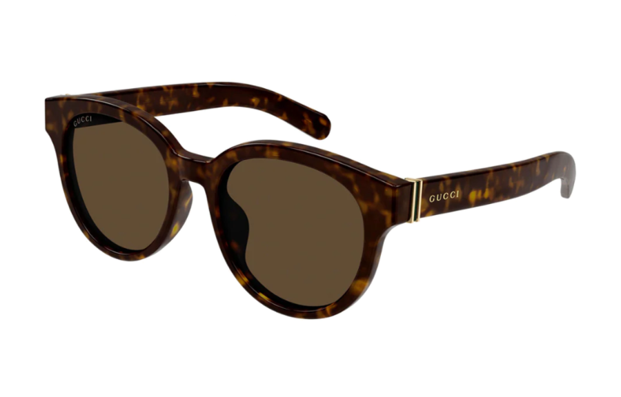 GUCCI GUCCI Oval Sunglasses Men's Tortoiseshell