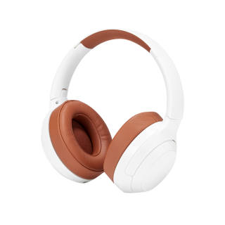 LZL Wireless Headphones