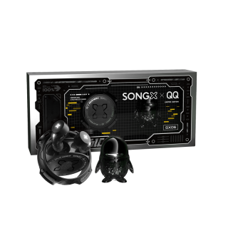 SONGX Wireless Headphones