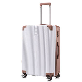 CHATELI Aluminum Trolley Bag Unisex
