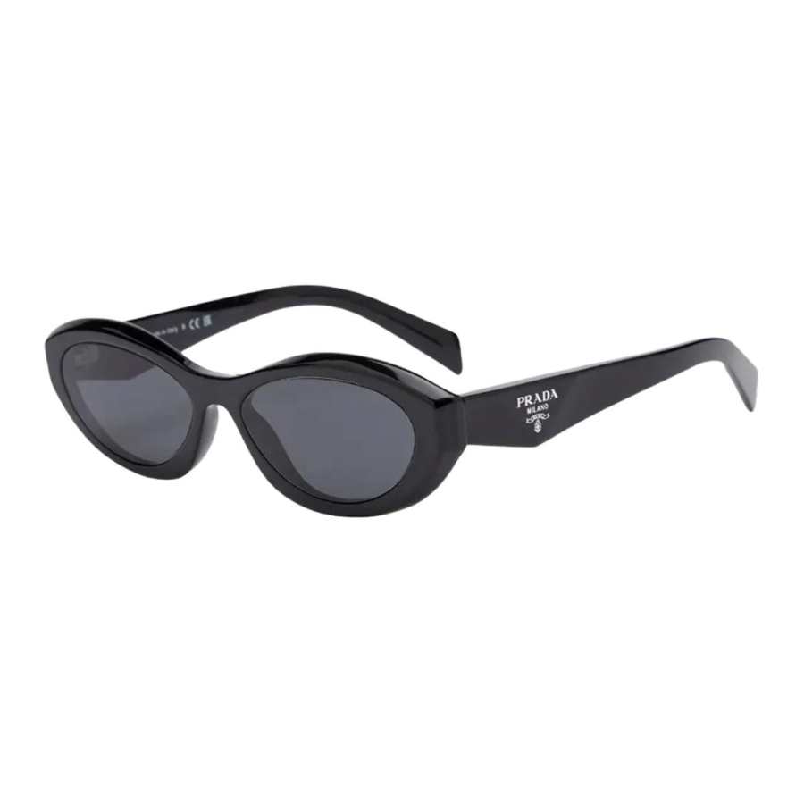 PRADA PRADA Pre Owned 10s Oval frame Sunglasses