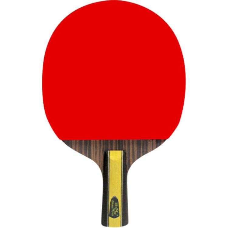 DOUBLE FISH DOUBLE FISH Ping Pong Paddles