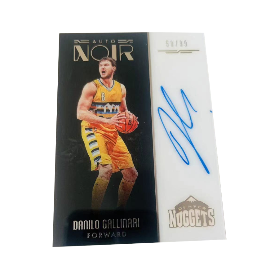 PANINI 16 17 Golden, Dario Garfagnini NOIR Signature, Mirror Finish, Basketball Card, Card Passable Sports Cards 1 Pc