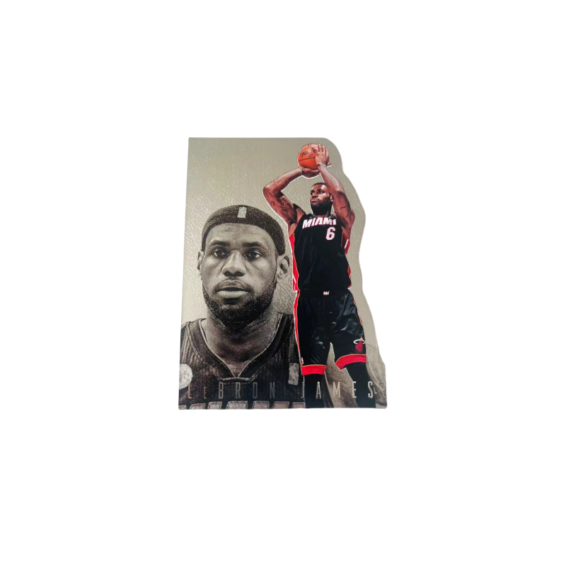 PANINI 13 14 Miami Heat, James, Conspiracy, Irregular Shape Player Card, Card Product Pass Sports Cards 1 Pc