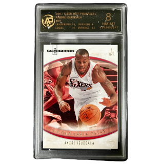 FLEER Andre Iguodala Panini Player Card 76 Persons Rising Stars Era 2017 Vintage Card Graded Cards 1 Pc