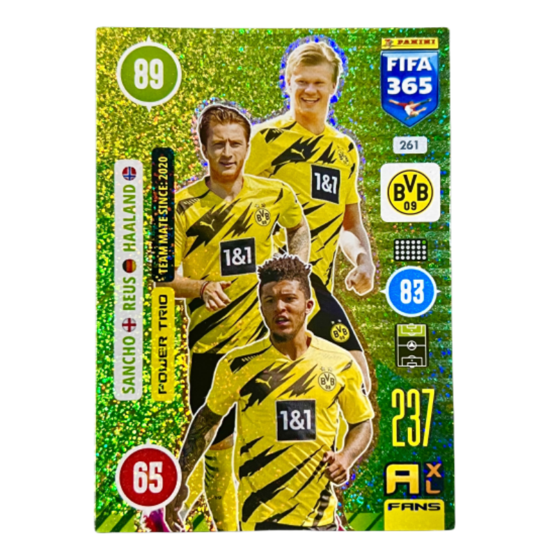 PANINI PANINI Sports Cards