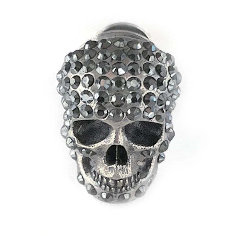 Alexander McQueen Alexander McQueen Earrings Men's Silver