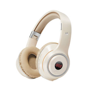 LZL Wireless Headphones