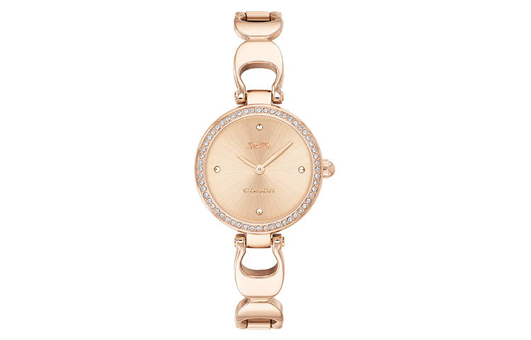 COACH PARK Wrist Watches Quartz Movement Steel Strap 26mm Gold Dial Women's Watch