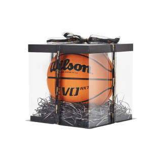 Wilson Pu Basketball Brick Size 7 Training Unisex