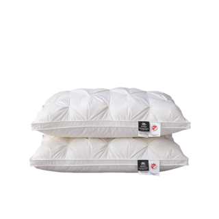Lanza Down & Feather Pillows