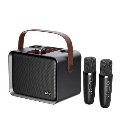 QILIAN Wireless Speakers