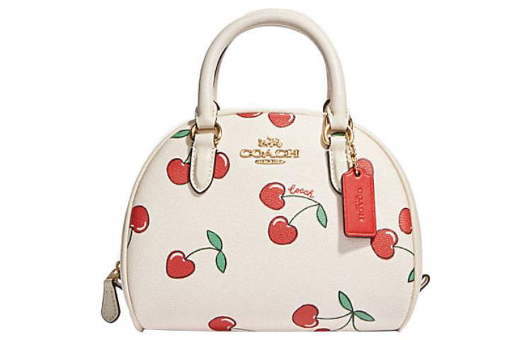 COACH Sydney Coated Canvas With Leather Shoulder Bag, Crossbody Bag, Handbag Small Women's White