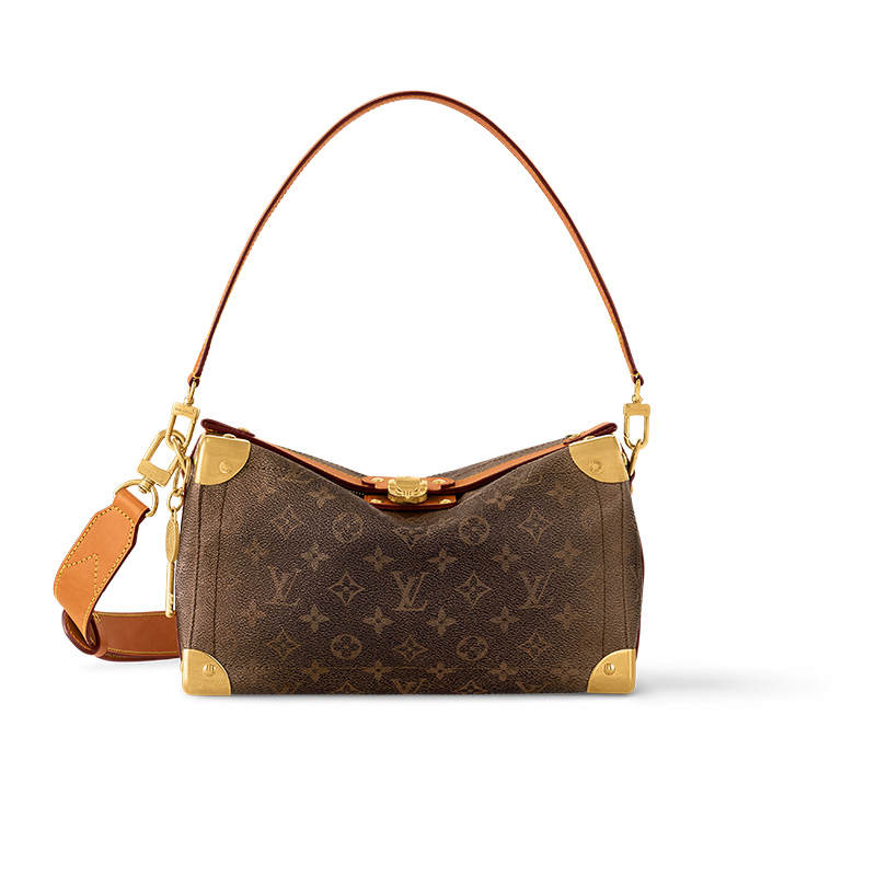 LOUIS VUITTON Lv None