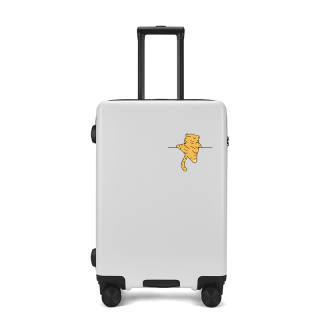 BLAN BUNNY ABS+PC Suitcase Travel Bag Luggage 20 Inch, 24 Inch, 26 Inch, 22 Inch Unisex White Silver Black