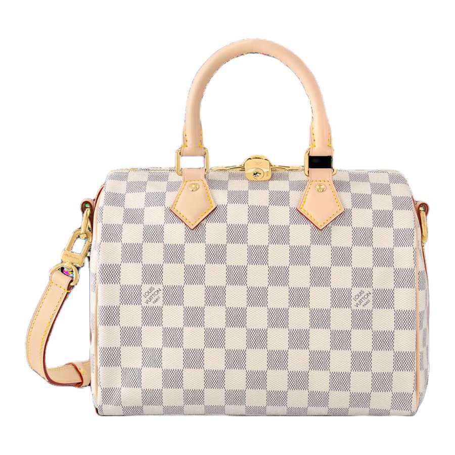 LOUIS VUITTON Lv None