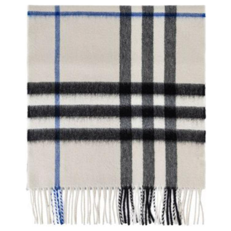 Burberry Burberry Check Printed Fringed Scarf