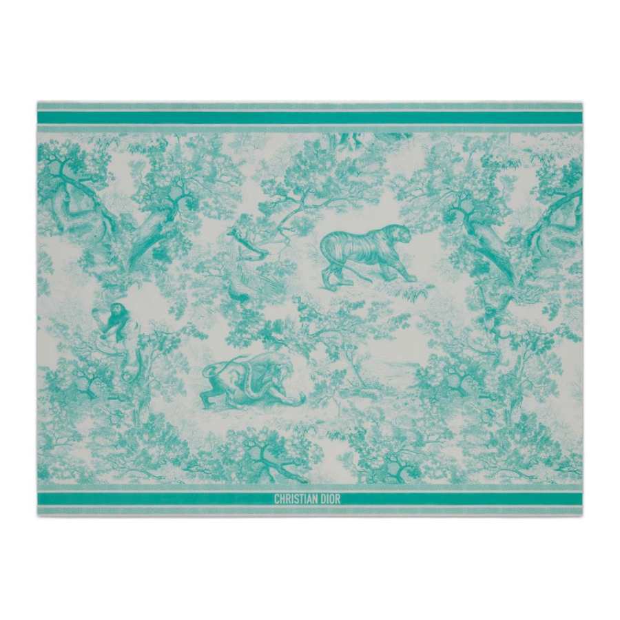 DIOR Patterned Print Cotton Knit Scarves Women's Sea Blue