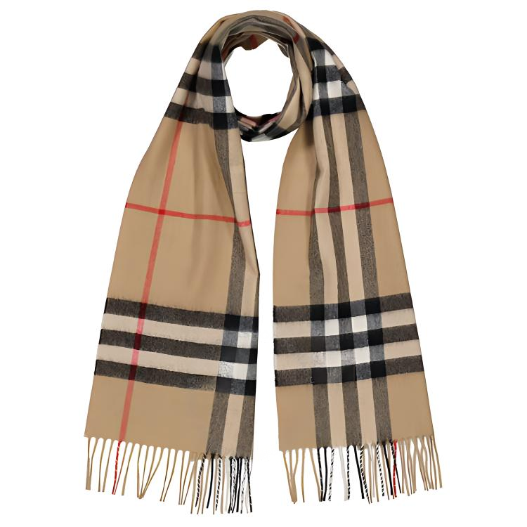 Burberry Burberry Checked Fringed-Edge Scarf