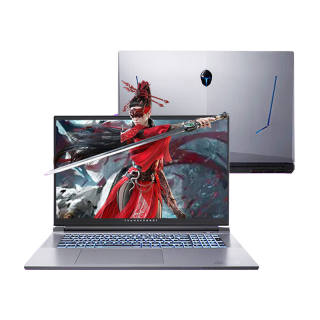 ThundeRobot 911plus Gaming Laptops