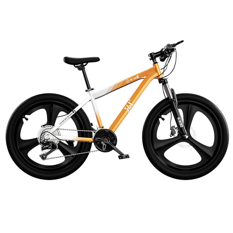 361° 361° Youth & Student Bicycles High Carbon Steel Lockable Shock Absorption Front Fork