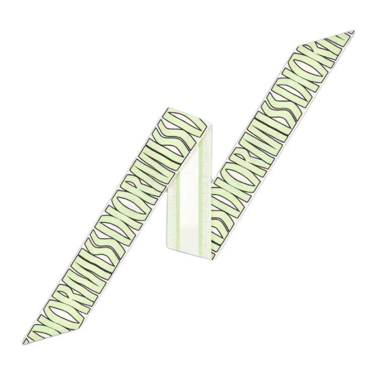 DIOR DIOR Silk Scarves Women's Light Green