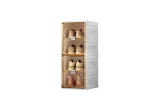 Ant Box Shoebox Storages