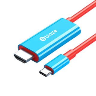 BIAZE Compatibility With Switch Portable