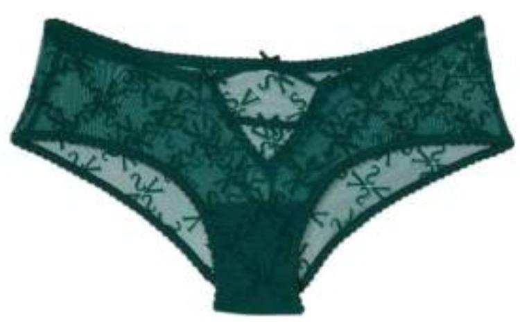 Victoria's Secret Briefs Women's 1 Pack Jasper