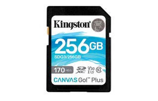 Kingston Memory Cards