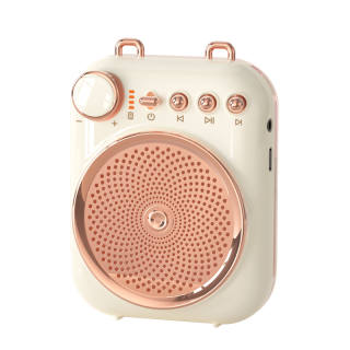 AISOMEX Amplifiers & Speakers