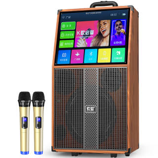 SOAIY Outdoor & PA Speakers