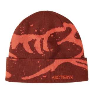Arcteryx Arc'teryx Recycled Polyester Beanies Unisex Red