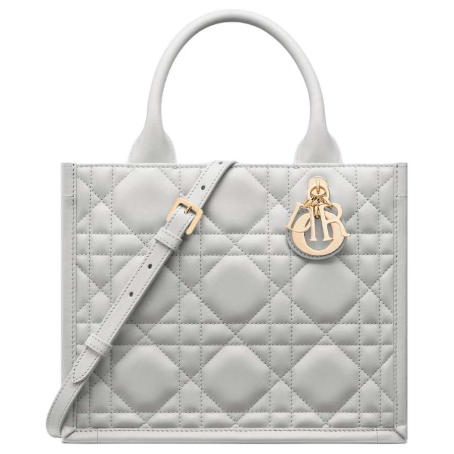 DIOR BookTote Calfskin Tote Handbag Small Women's Mist