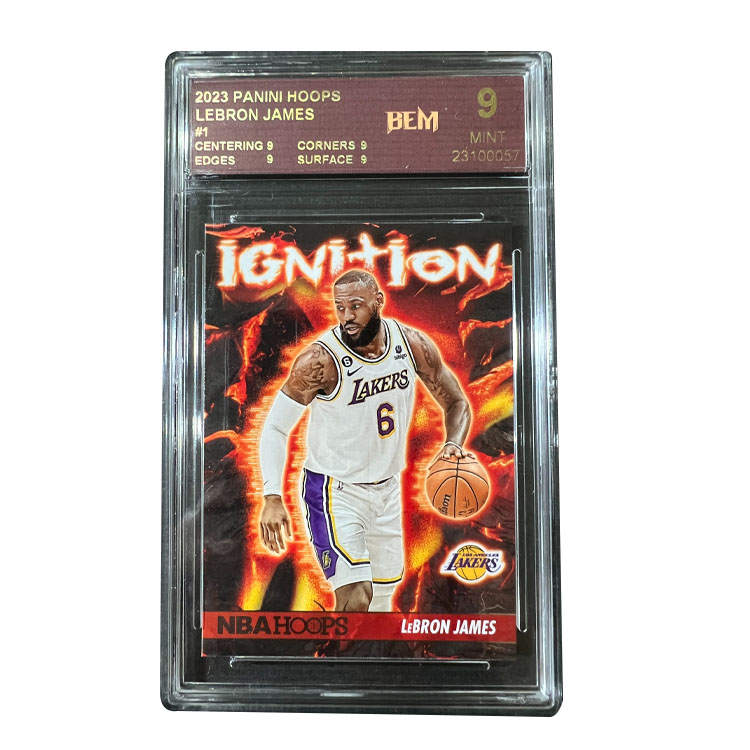 PANINI Los Angeles Lakers, LeBron James, King James, Flame Special Edition, Star Card, Rare Card Graded Cards 1 Pc