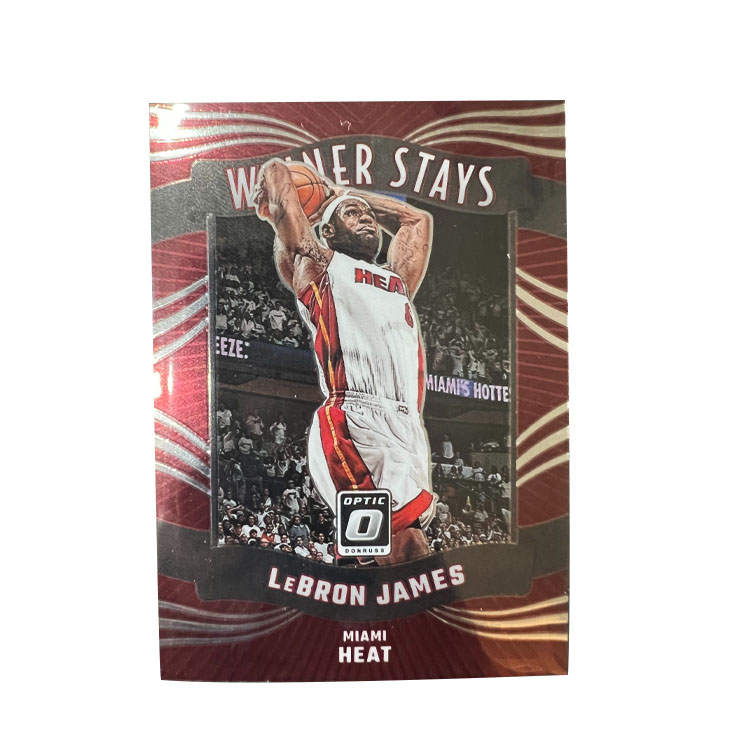 PANINI Miami Heat, LeBron James, Dunk Special Card, Basketball Star Card, Rare Card Sports Cards 1 Pc