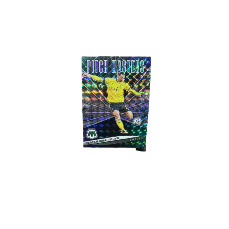 PANINI PANINI Sports Cards