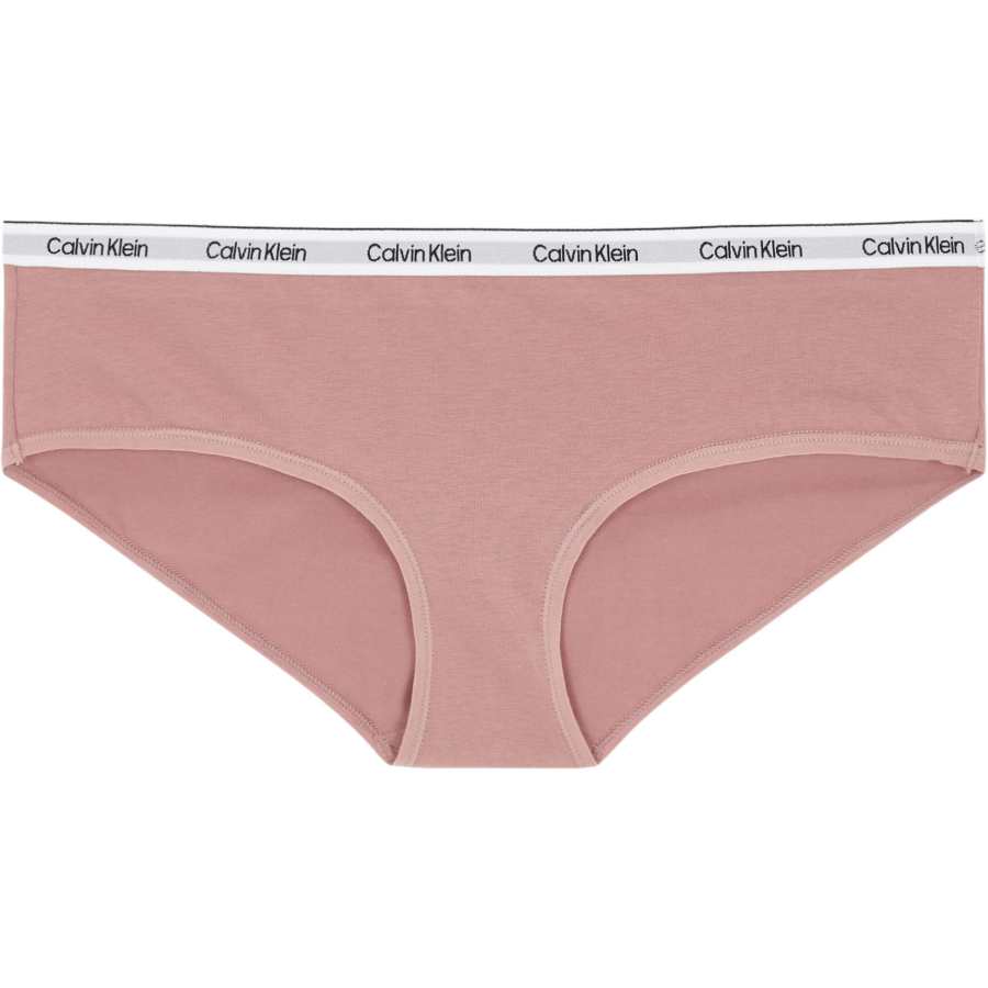 CALVIN KLEIN Briefs Women's Red Grape