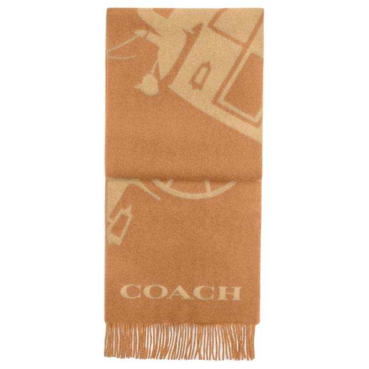 COACH 100% Cashmere, Wool Knit Scarves Women's Brown