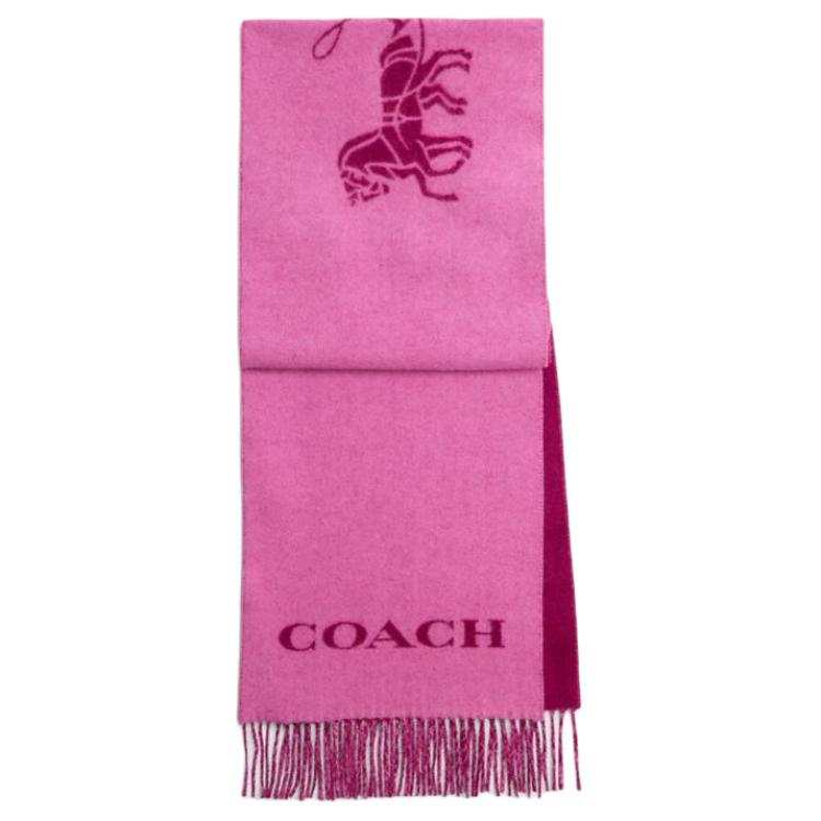 COACH Cashmere Knit Scarves Unisex Pink