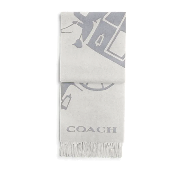COACH Cashmere Knit Scarves Unisex Gray