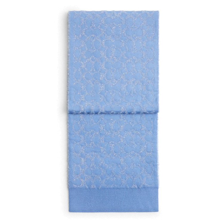COACH Polyamide, Acrylic, Metal Coated Fiber, Sheep Wool Knit Scarves Unisex Blue
