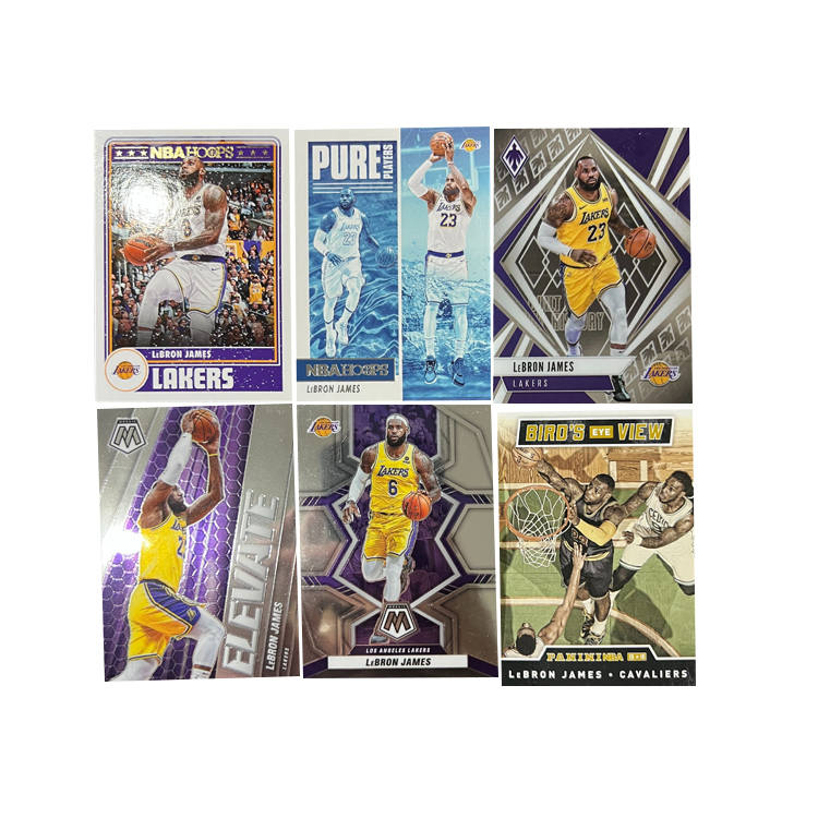 PANINI Los Angeles Lakers, LeBron James, King James, Collection, Basketball Card, Refringence, Basketball Card, Rare