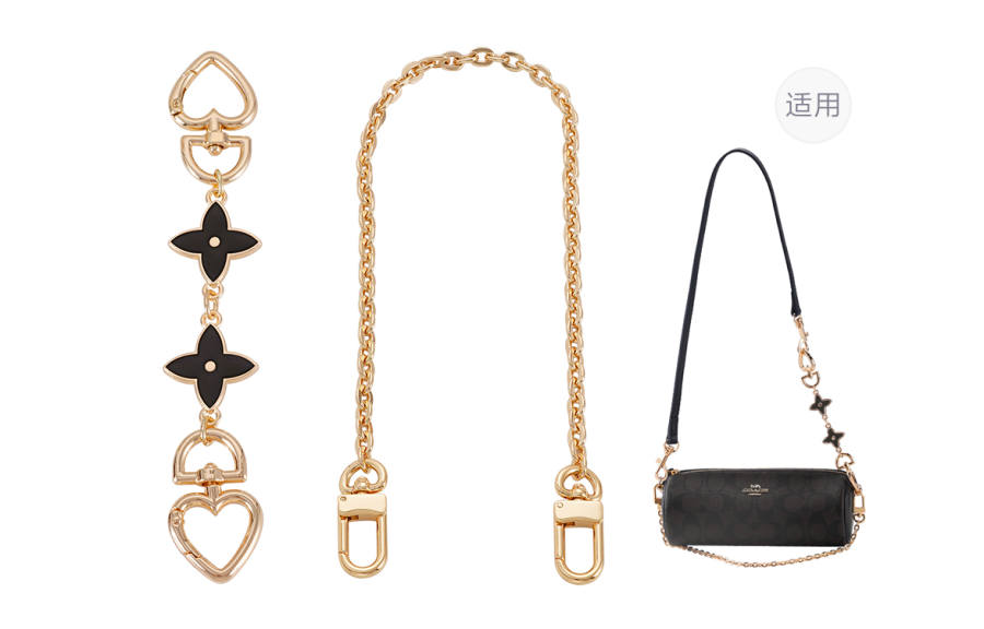 Lan Bao Fan Metal Bag Straps Women's Gold tone