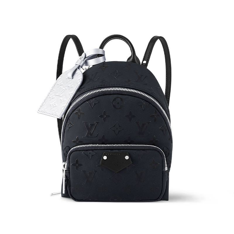 LOUIS VUITTON LOUIS VUITTON Palm Spring Mini Polar Night
